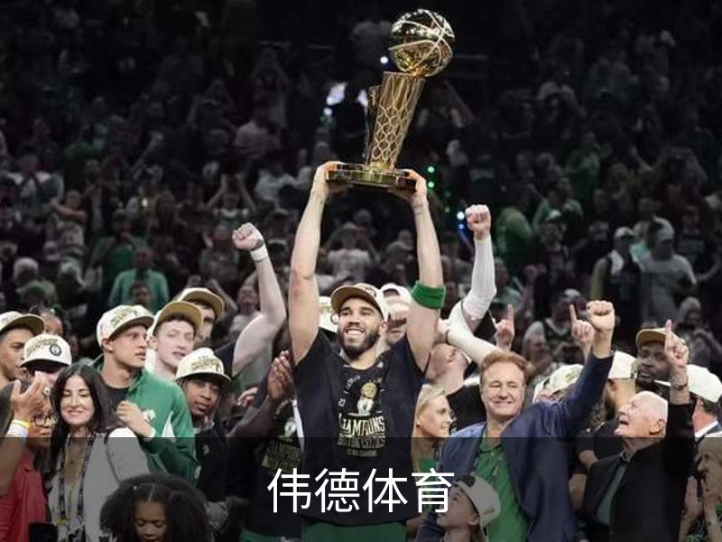 关于伟德体育